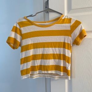 Pacsun Basic Crop Top